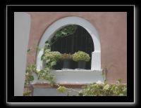 P7200523