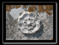 P7070082