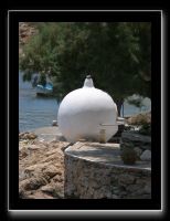 Backofen