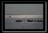 P7282013