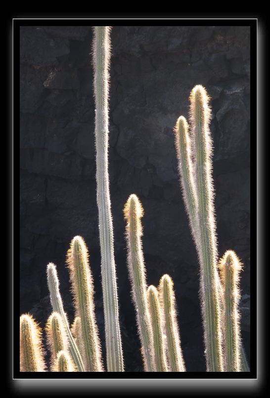P1021426