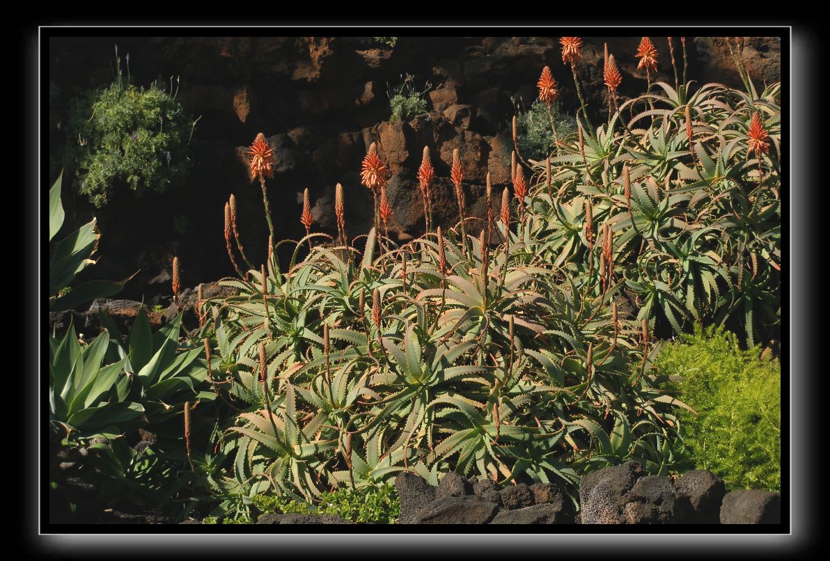 P1021421