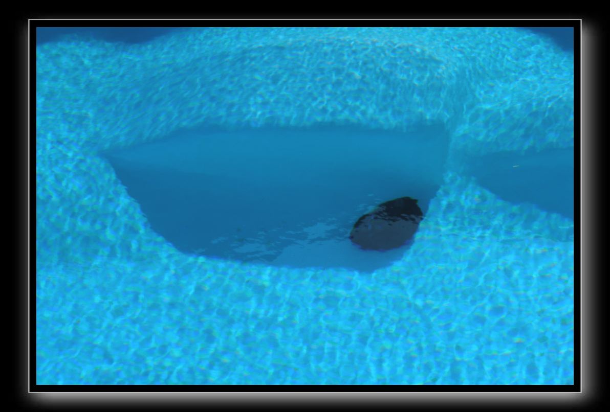 P1021419