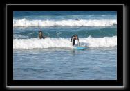 Wellensurfen